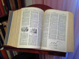 Dictionary and Stand