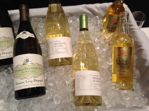 CE French Whites 2